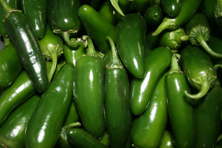 Pepper - Jalapeno Tam