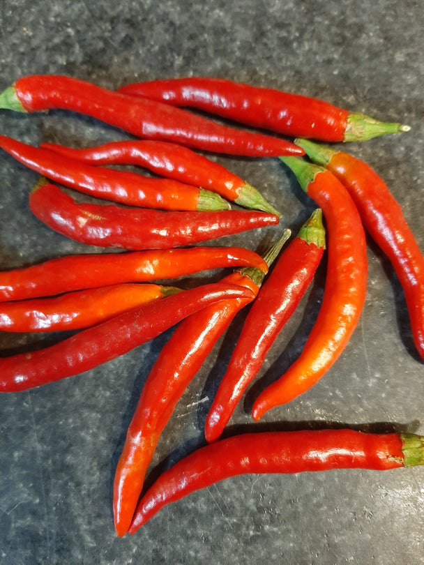 Pepper - Thai Dragon