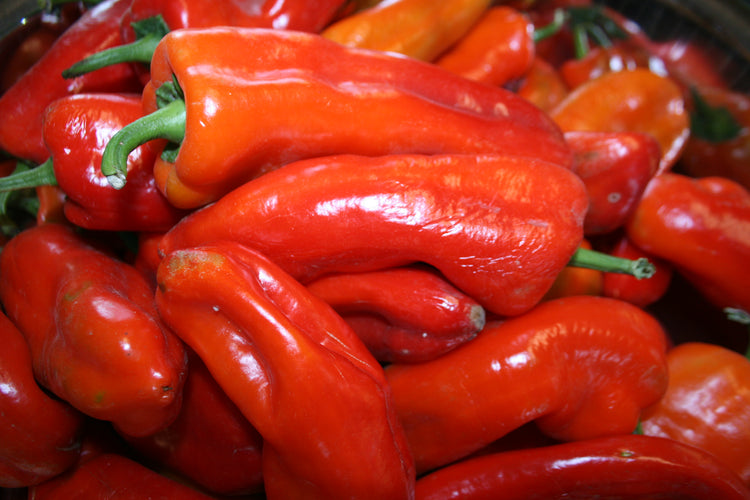 Pepper - Marconi Red