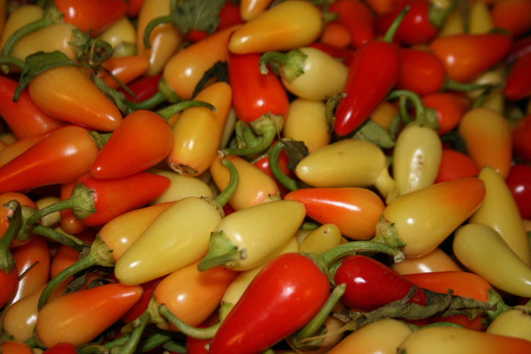 image_3