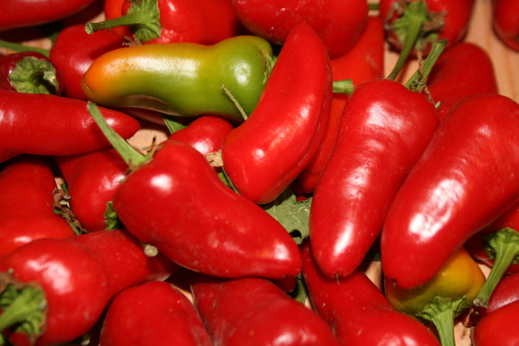 image_4