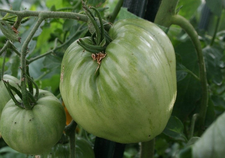 image_1