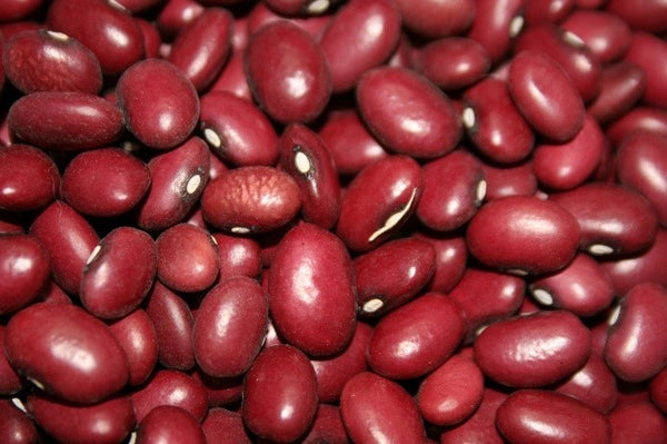 red beans seeds for planting Bean