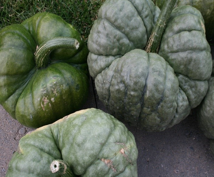 image_9