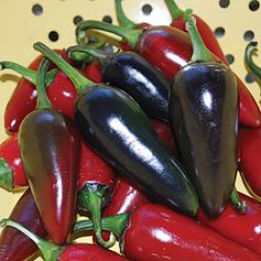 image_21