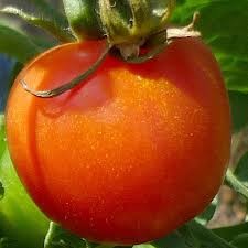 image_86
