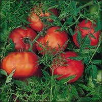 image_88