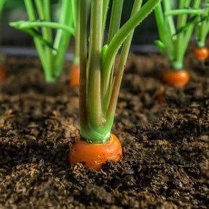 Carrot - Sprint