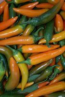 Pepper - Bulgarian Carrot
