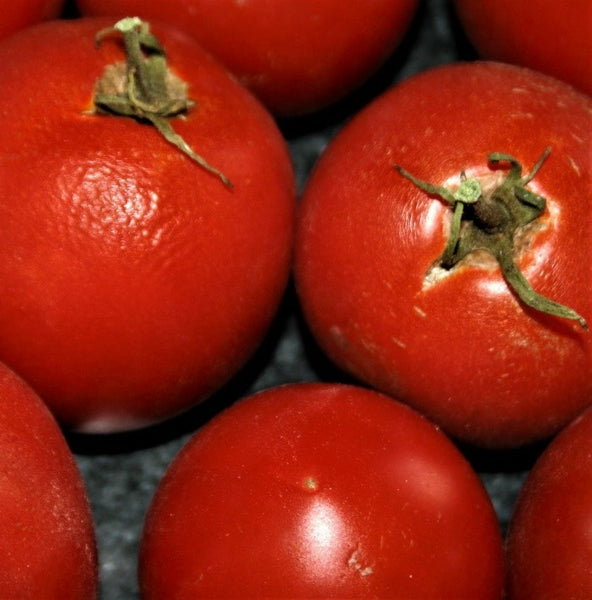 Crimson Sprinter Tomato Heirloom Seeds – Wildrose Heritage Seed Company